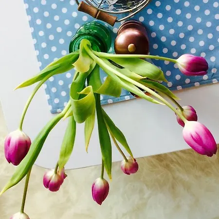 Hoelscher Hotel Solingen