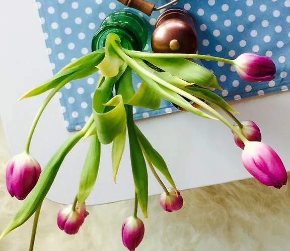 Hoelscher Otel Solingen